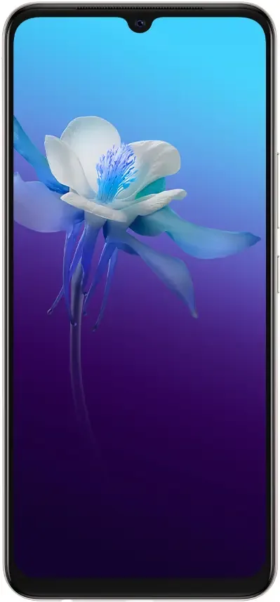 vivo V20